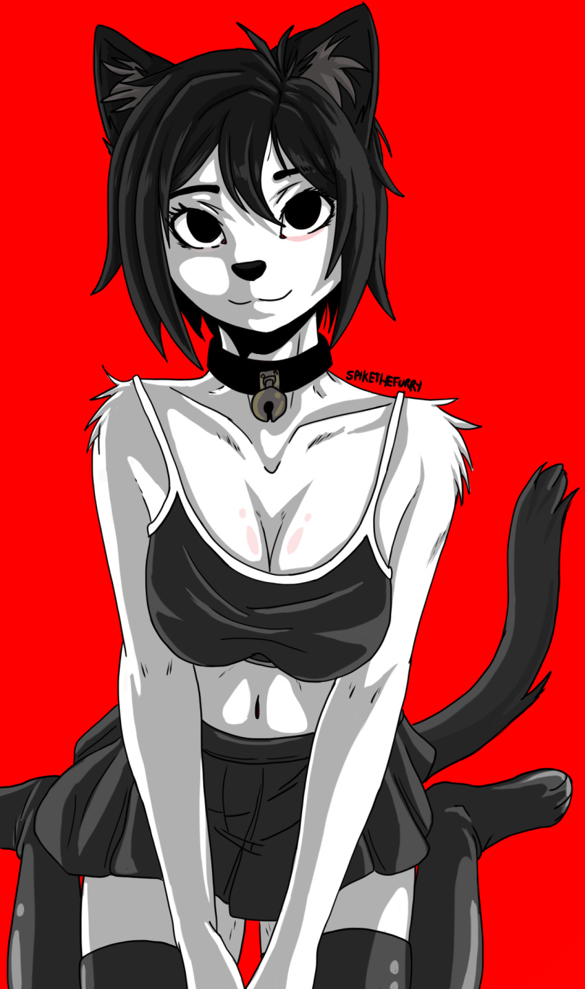 black_eyes black_hair black_nose choker clothing domestic_cat felid feline felis female fur hair hi_res jewelry long_socks mammal marie_(gaturo) midriff navel necklace shirt short_hair spike_the_furry topwear white_body white_fur