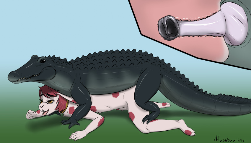 2016 alligator alligatorid anatomically_correct anatomically_correct_genitalia anatomically_correct_penis animal_genitalia animal_penis anthro anthro_on_feral anthro_penetrated ass_up back_spikes beady_eyes bestiality bodily_fluids buckteeth cloaca cloacal_penis collar crocodilian crocodilian_penis cutaway duo erection eyewear female female_on_bottom female_penetrated feral feral_penetrating feral_penetrating_anthro from_behind_position genitals glasses gradient_background hair hi_res interspecies lagomorph larger_feral larger_male leporid long_mouth long_tail looking_pleasured male male/female male_on_top male_penetrating male_penetrating_female mammal mounting mushbun mushbun_(character) neck_spikes nude on_bottom on_top open_mouth open_smile orange_eyes penetration penile penile_penetration penis penis_in_pussy pink_hair pink_spots rabbit reptile saliva scalie sex side_view simple_background size_difference smaller_anthro smaller_female smaller_penetrated smile snout spiked_tail spikes spikes_(anatomy) spots spread_legs spreading teeth thick_neck tongue tongue_out vaginal vaginal_penetration