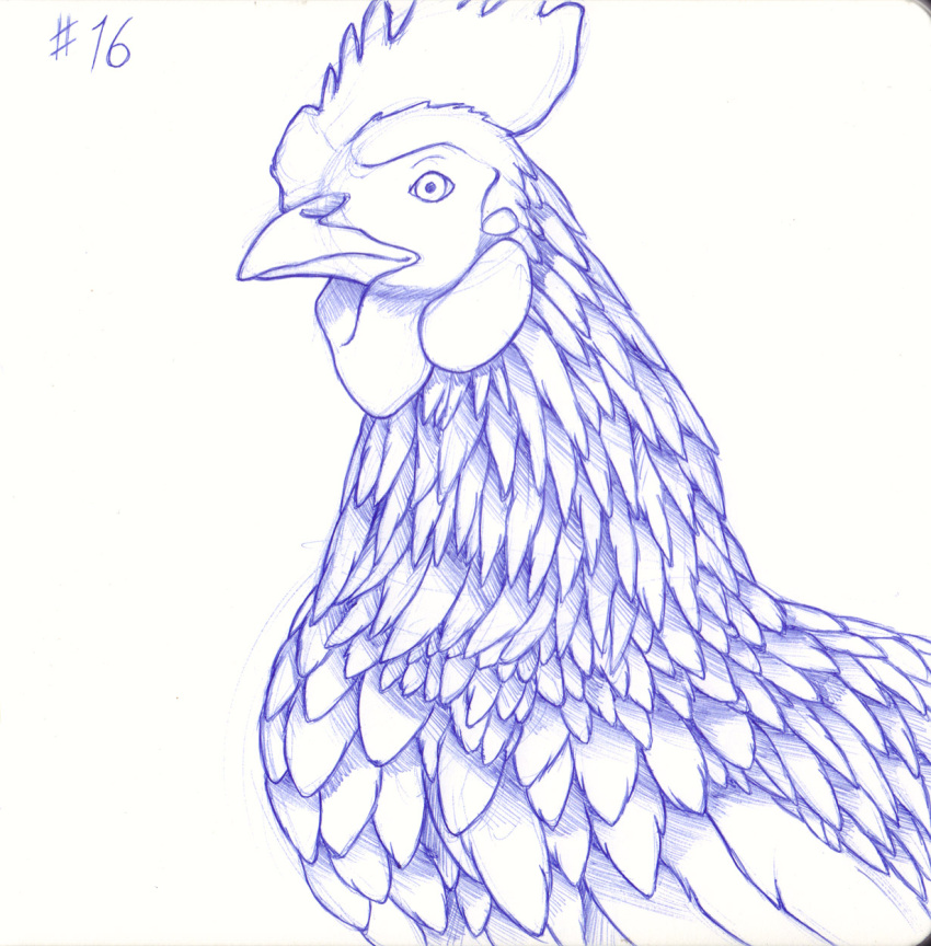 2022 ambiguous_gender avian avian_caruncle beak bird blue_and_white chicken comb_(anatomy) detailed detailed_feathers feathers feral galliform gallus_(genus) guide_lines head_crest hi_res inktober_2022 monochrome number phasianid side_view simple_background sogaroth solo white_background