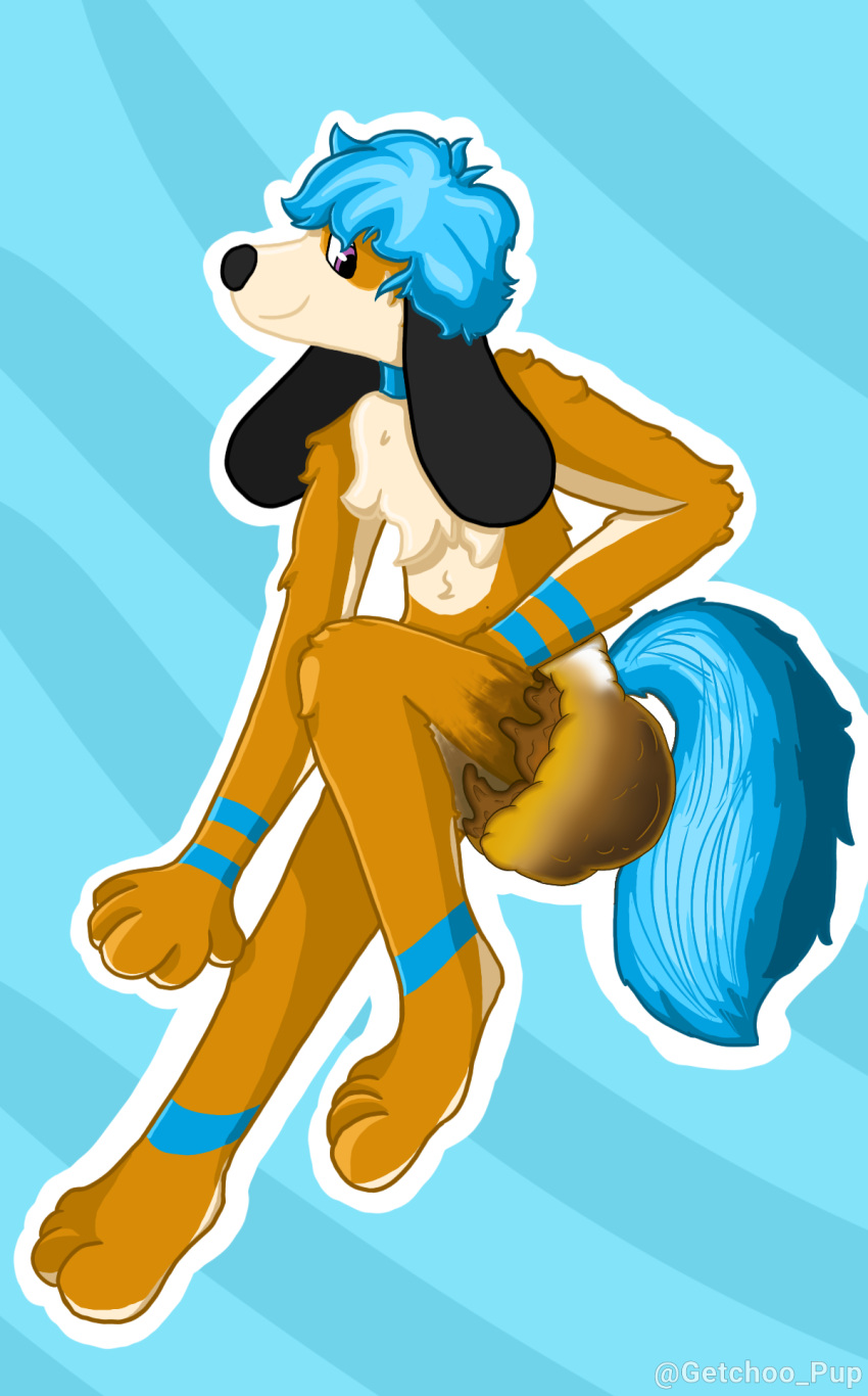 anthro blue_hair blue_tail brown_body brown_fur canid canine church diaper feces fur getchoo_pup hair hi_res intersex intersex/male male mammal messy_diaper paws pooping scat soiled_diaper soiling soiling_diaper solo