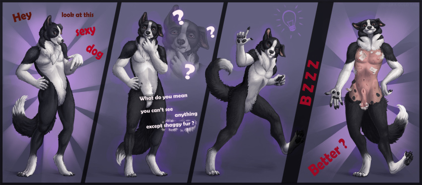 animal_genitalia anthro balls black_body black_border black_fur black_nose black_tail border brown_eyes canid canine canis cheek_tuft chest_tuft closed_smile crotch_tuft domestic_dog english_text facial_tuft fully_sheathed fur genitals glistening glistening_eyes himeragoldtail humor looking_at_viewer male mammal navel nude shaved sheath simple_background solo standing tan_balls tan_body tan_sheath tan_skin text tuft white_body white_fur white_tail