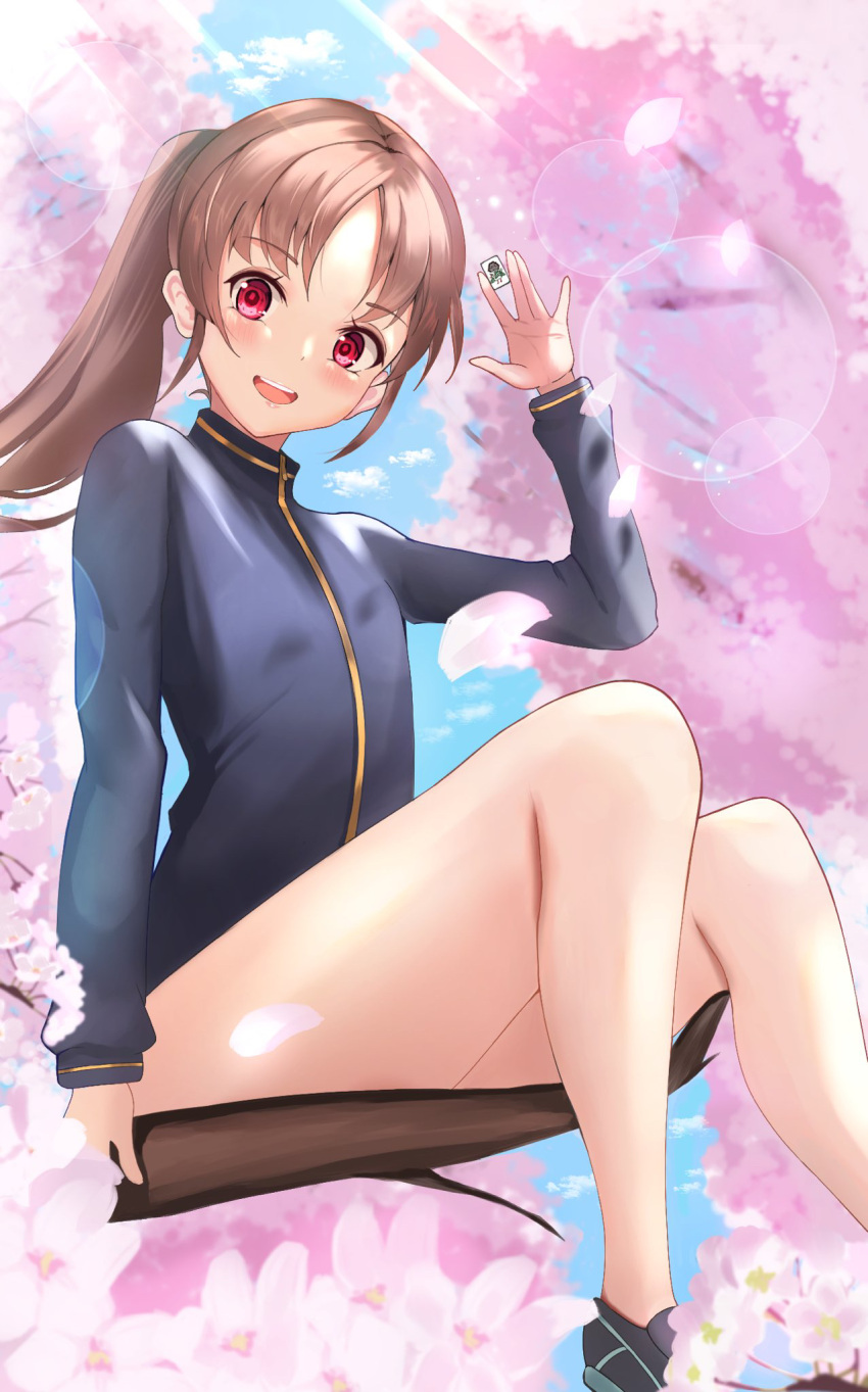 1girl bangs black_footwear blue_jacket blue_sky brown_hair cherry_blossoms cloud cloudy_sky commentary day highres holding in_tree jacket lens_flare long_hair long_sleeves looking_at_viewer mahjong mahjong_tile mamaa_(maeni6379) naked_jacket no_socks open_mouth outdoors ponytail red_eyes saki saki_achiga-hen shoes sitting sky smile sneakers solo sunlight takakamo_shizuno track_jacket tree