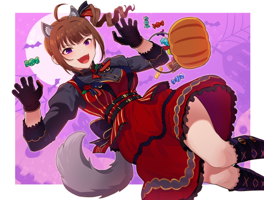 1girl ahoge animal_ears breasts brown_hair claw_pose dress drill_ponytail dutch_angle fangs feet_out_of_frame from_above halloween hands_up idolmaster idolmaster_million_live! idolmaster_million_live!_theater_days kamille_(vcx68) kemonomimi_mode kneehighs medium_breasts moon open_mouth outside_border purple_eyes side_ponytail sidelocks smile socks solo tail trick_or_treat wolf_ears wolf_tail yokoyama_nao