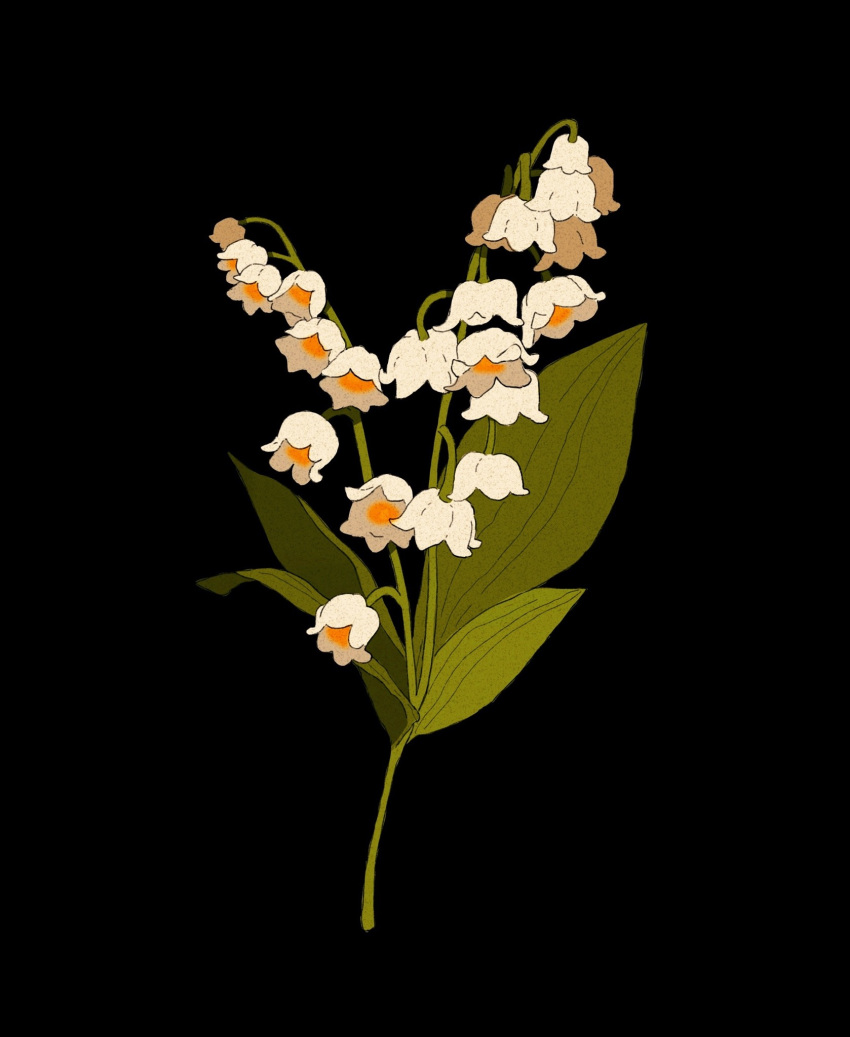 black_background commentary commission english_commentary flower highres leaf libbyframe lily_of_the_valley no_humans original plant signature simple_background still_life white_flower