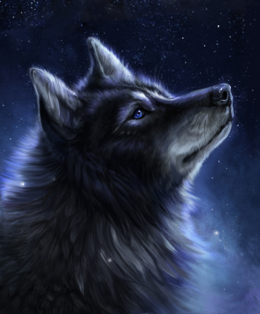 2022 ambiguous_gender black_body black_fur black_nose blue_eyes canid canine canis detailed_background digital_media_(artwork) feral fur hi_res mammal muns11 night outside sky solo star starry_sky whiskers wolf