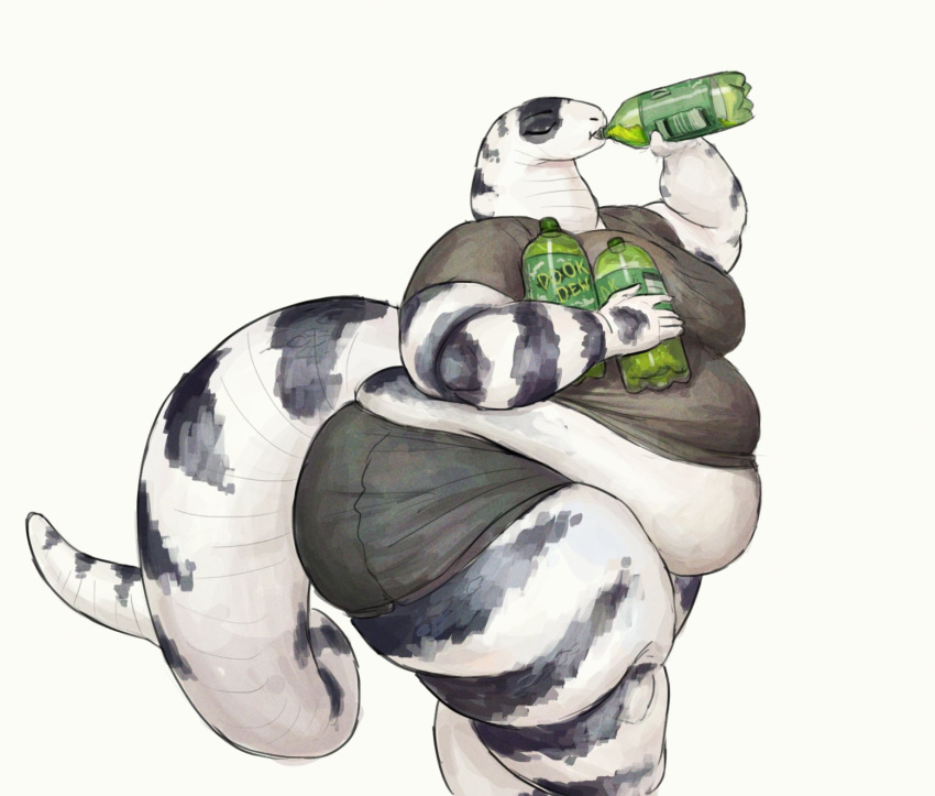 anthro belly beverage big_belly bottomwear california_kingsnake cettus clothing drinking eyes_closed female hi_res holding_object maeve_gibson obese obese_anthro obese_female overweight overweight_anthro overweight_female reptile scalie shirt shorts simple_background snake soda_bottle solo striped_body stripes topwear walking white_background white_body white_skin