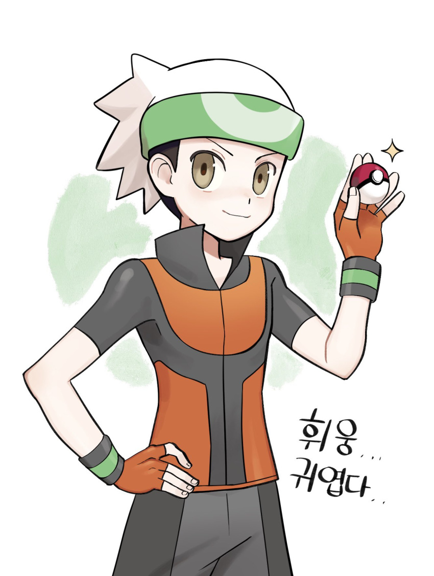 1boy beanie black_hair brendan_(pokemon) brown_eyes chirosamu closed_mouth commentary_request cowboy_shot fingerless_gloves gloves hand_on_hip hand_up hat highres holding holding_poke_ball korean_text looking_at_viewer male_focus poke_ball poke_ball_(basic) pokemon pokemon_(game) pokemon_emerald pokemon_rse popped_collar short_hair short_sleeves smile solo sparkle white_headwear wristband