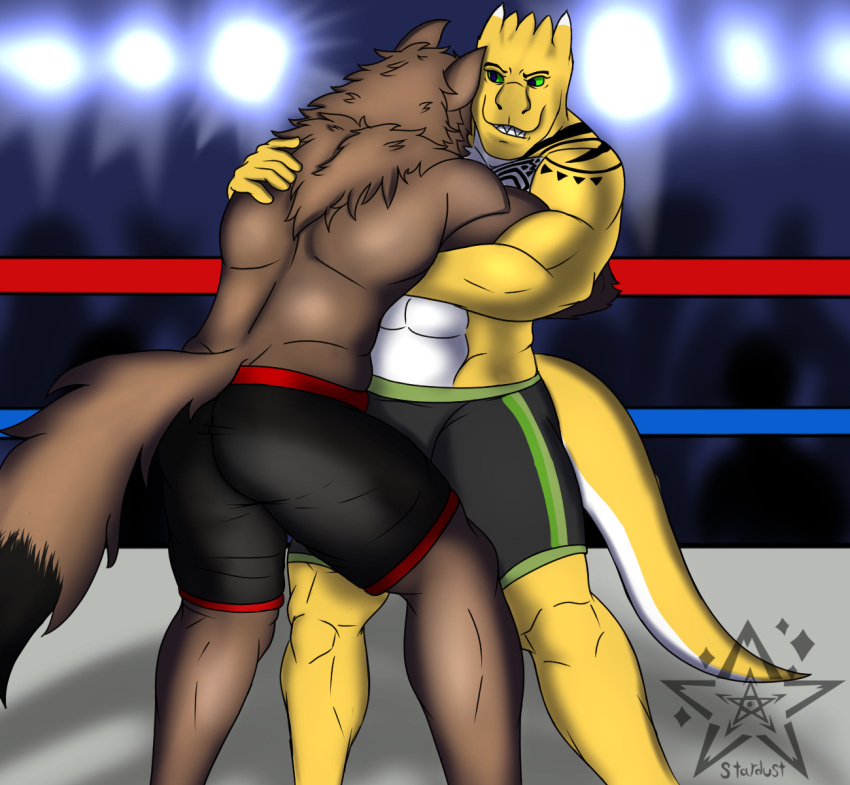 anthro bottomwear brown_body brown_fur canid canine canis clothing digital_drawing_(artwork) digital_media_(artwork) duo fafnir_stardust_(artist) fight fighting_ring fur green_sclera hi_res male mammal muscular muscular_anthro muscular_male reptile scales scalie shaded shorts snake white_body wolf wrestling yellow_body