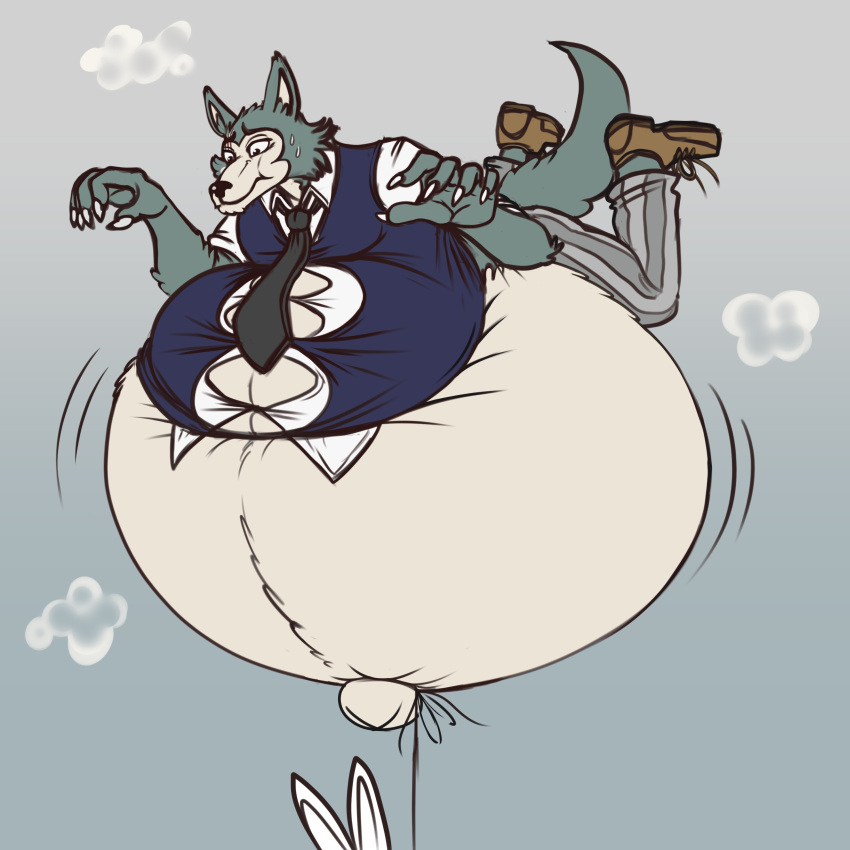 2021 absurd_res air_inflation anthro beastars belly big_belly bodily_fluids bottomwear canid canine canis claws clothing dress_shirt duo eggo21 female footwear fur grey_body grey_fur haru_(beastars) hi_res holding_breath hyper hyper_belly inflation lagomorph legoshi_(beastars) leporid looking_down male mammal mostly_offscreen_character navel necktie outie_navel pants rabbit rabbit_ears school_uniform shirt shoes straining_buttons string sweat tight_clothing topwear uniform white_body white_fur wolf