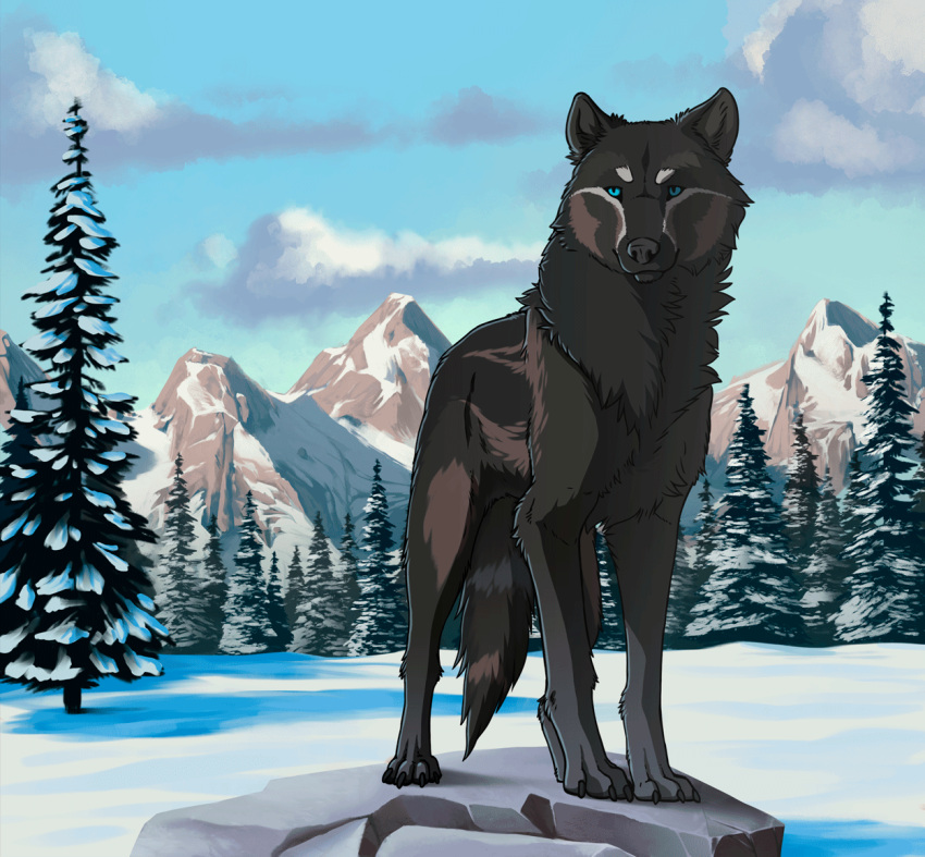 2d_animation animated black_body black_fur black_nose blue_eyes canid canine canis detailed_background female feral forest fur hiona leg_markings loop mammal markings mountain on_rock outside plant quadruped snow socks_(marking) solo standing sterr striped_body striped_fur stripes tree wind wolf