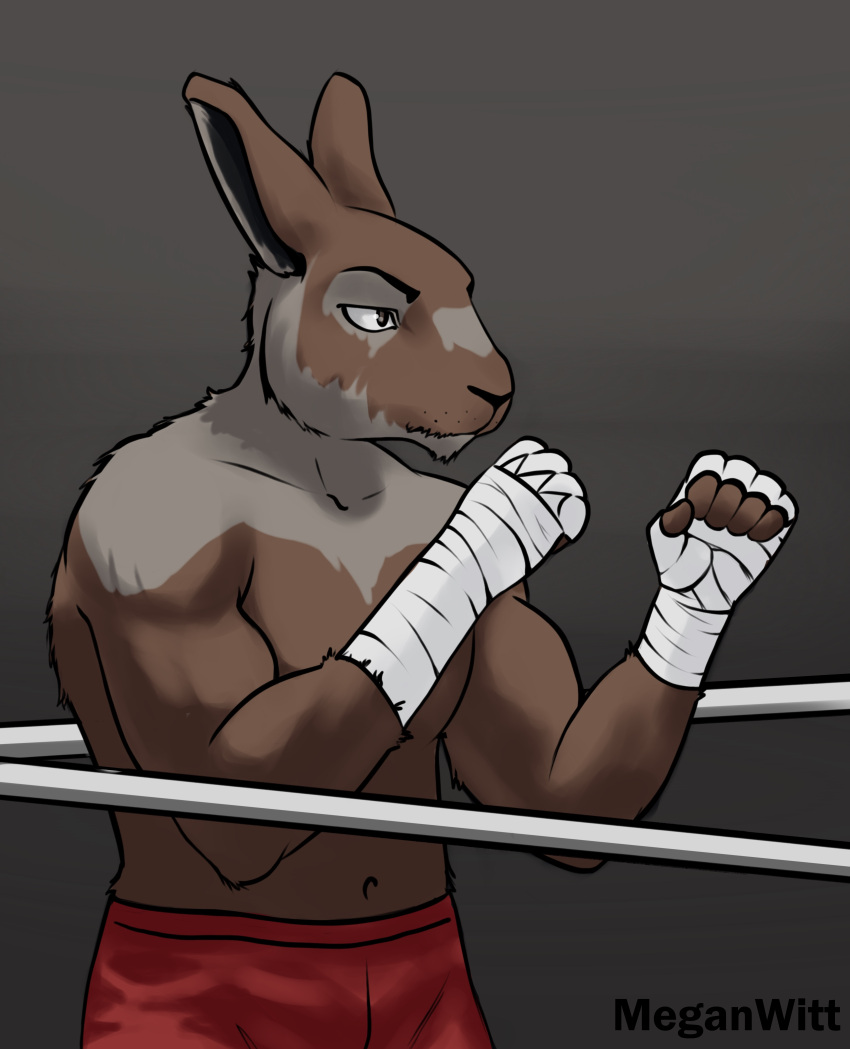 absurd_res angry anthro bottomwear boxing brown_body clothing digital_media_(artwork) fighting_ring frown fur hare hi_res lagomorph leporid male mammal meganwitt muscular muscular_male rabbit shirtless shorts simple_background solo sport