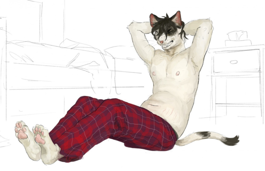 2022 anthro bed bedroom bedside_table black_hair bottomwear cettus clenched_teeth clothed clothing domestic_cat exercise eyes_closed felid feline felis fur furniture hair hand_behind_head inside male mammal natan_osorio_suarez pants simple_background sit_up sitting sitting_on_ground sketch sketch_background slightly_chubby solo stretch_marks teeth tissue_box topless white_background white_body white_fur