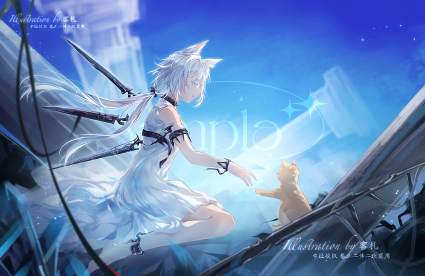 1girl absurdres animal animal_ear_fluff animal_ears arknights bangs blue_eyes cat cat_ears commentary_request dress grey_hair guguyao hair_between_eyes highres long_hair low_ponytail ponytail profile rosmontis_(arknights) sleeveless sleeveless_dress smile solo very_long_hair white_dress