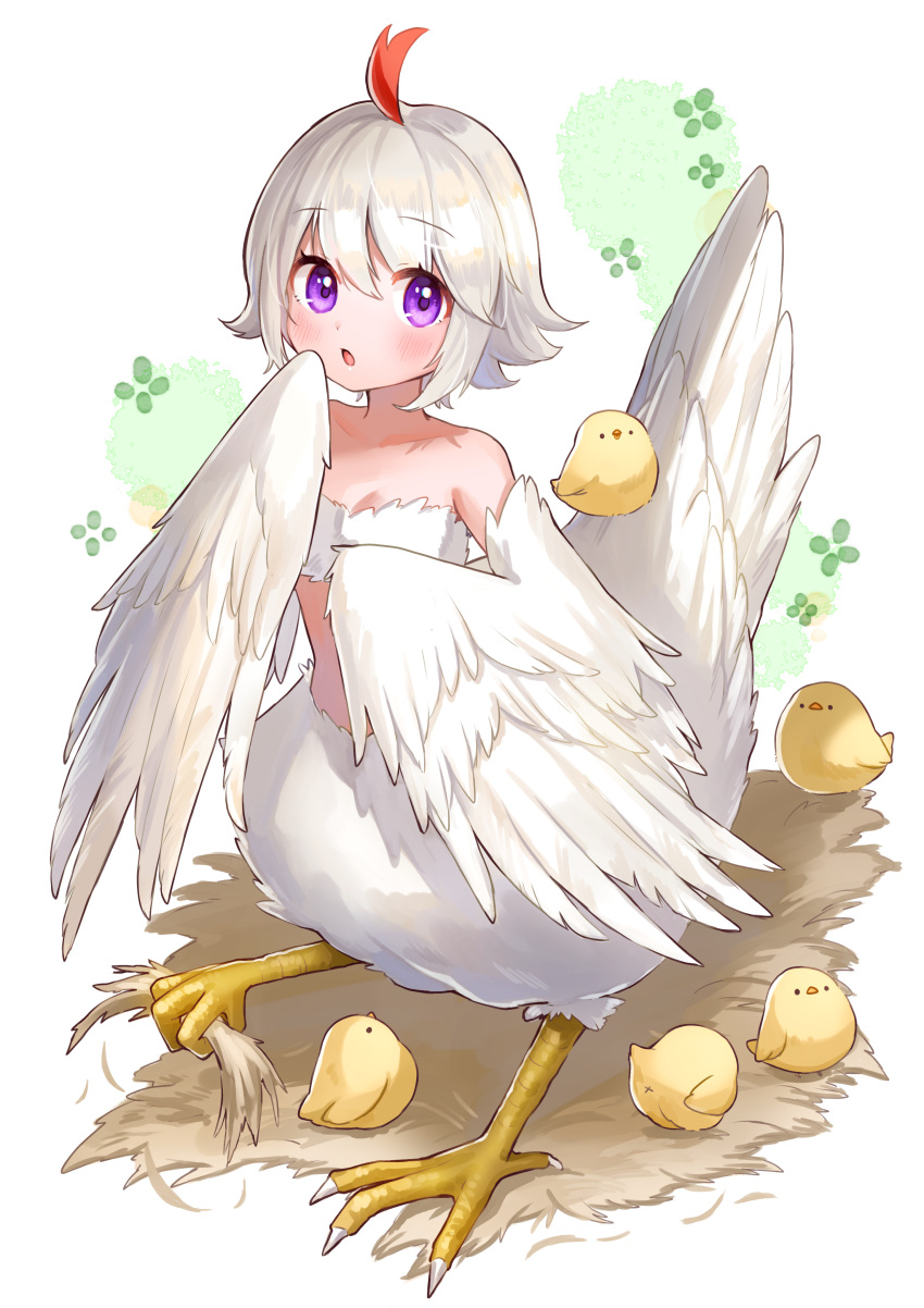 absurdres bandeau bird bird_girl bird_tail bird_wings blush breasts chick cleavage foot_hold harpy highres miyamo_(fumifumi_no_ura) monster_girl nest original parted_lips plume purple_eyes second-party_source short_hair small_breasts tail talons taur tori_(tama) white_hair winged_arms wings x_anus
