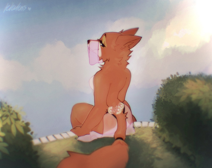 anthro breasts canid canine canis clothed clothing detailed_background disney female flower fox hi_res kosskiku maid_marian mammal outside plant robin_hood_(disney) side_boob sky smile solo tagme topless translucent