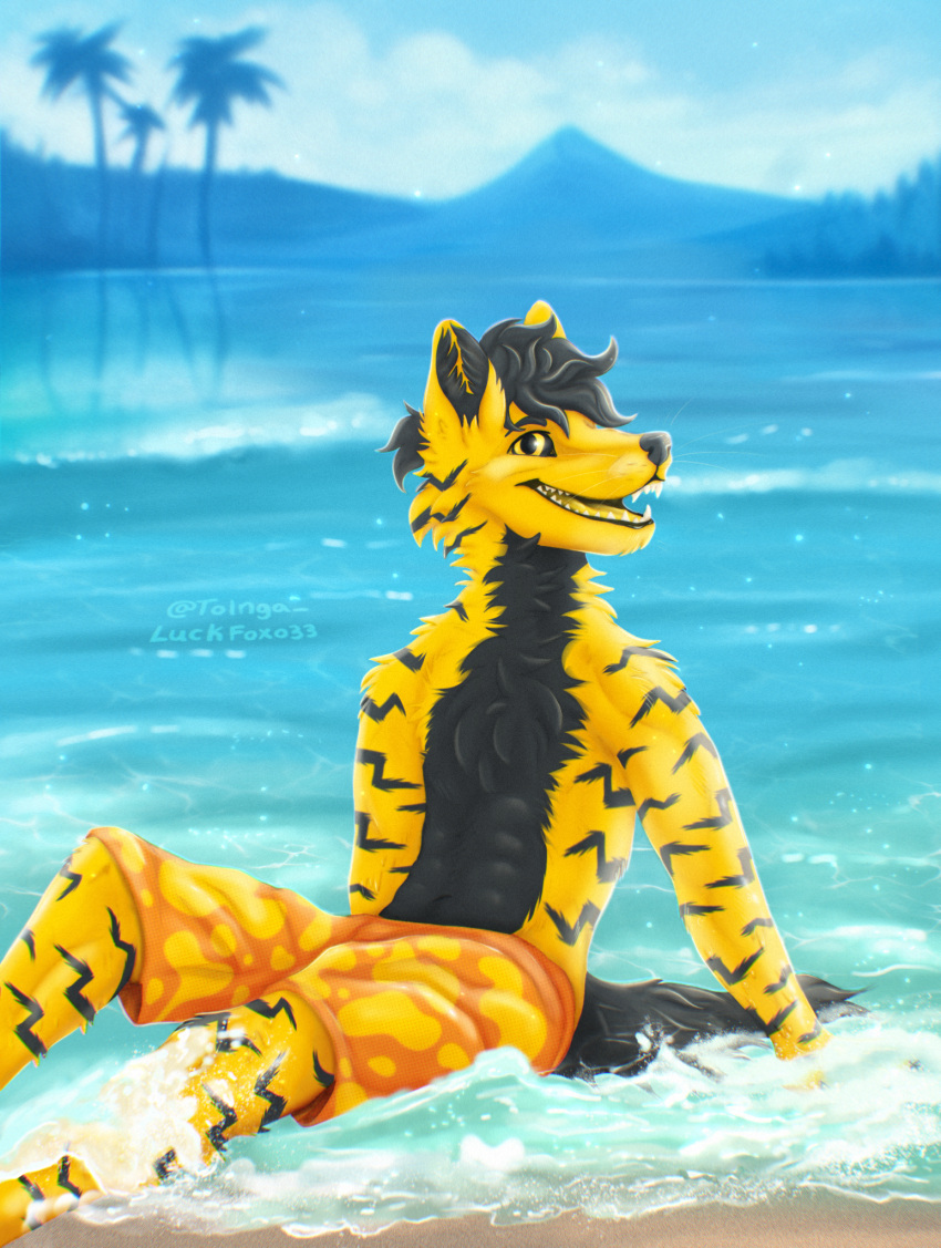 abs anthro beach black_stripes canid canine canis chest_fur chest_tuft clothing day fox fur hi_res luckfoxo33 male mammal mountain mountain_range muscular muscular_male palm_tree plant realistic_anatomy sea seaside solo stripes summer swimming_trunks swimwear tolnga tree tuft water wolf yellow_body yellow_fur