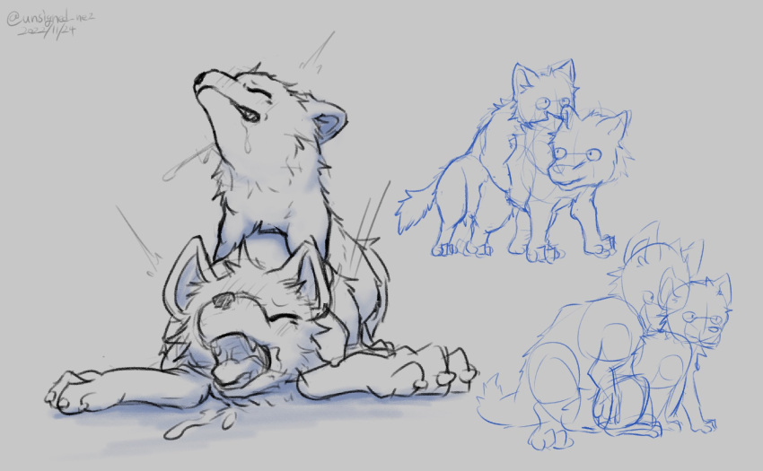 anal anal_penetration bodily_fluids canid canine canis drooling duo feral from_behind_position guide_lines hi_res humping looking_pleasured male male/male mammal mounting penetration saliva sex sketch translation_check unsigned_nez watermark wolf