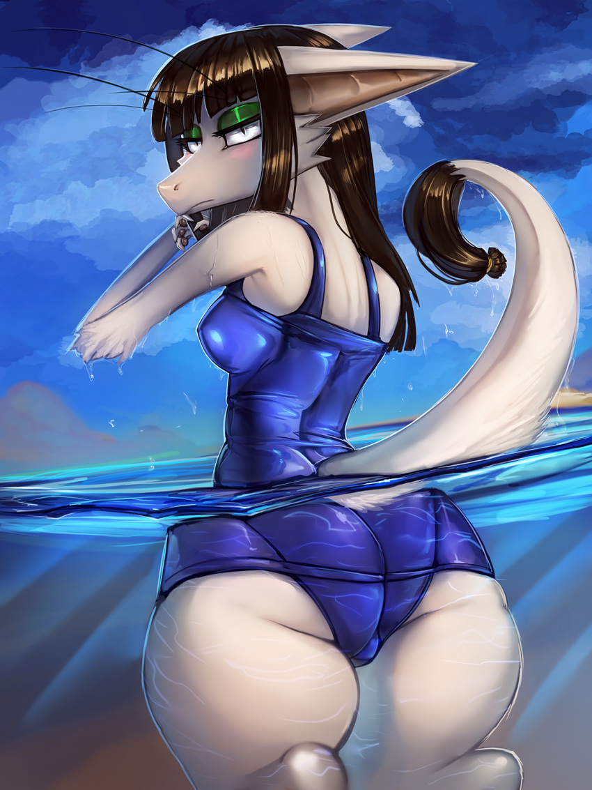 2022 3:4 anthro big_butt blue_one-piece_swimsuit breasts butt clothing day digital_media_(artwork) female fingerpads fur general-irrelevant grey_body grey_fur hair hi_res looking_at_viewer looking_back looking_back_at_viewer mammal one-piece_swimsuit out-of-placers outside pawpads raised_tail solo swimwear thick_thighs vizlet water webcomic wet yinglet