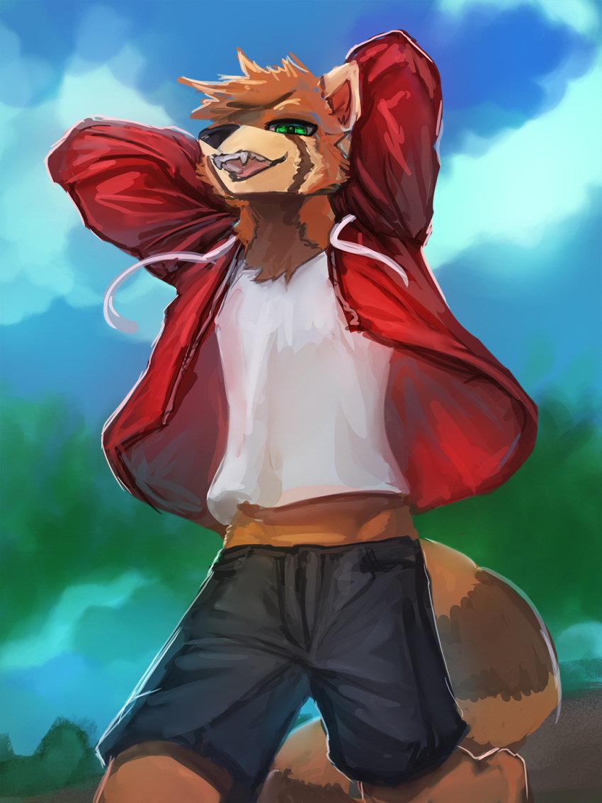 2022 3:4 ailurid anthro bottomwear brown_body brown_fur clothing cloud day digital_media_(artwork) fur general-irrelevant green_eyes hi_res jacket looking_at_viewer male mammal miles_(taltryn) outside red_clothing red_jacket red_panda red_topwear shirt shorts smile solo topwear walking white_clothing white_shirt white_topwear