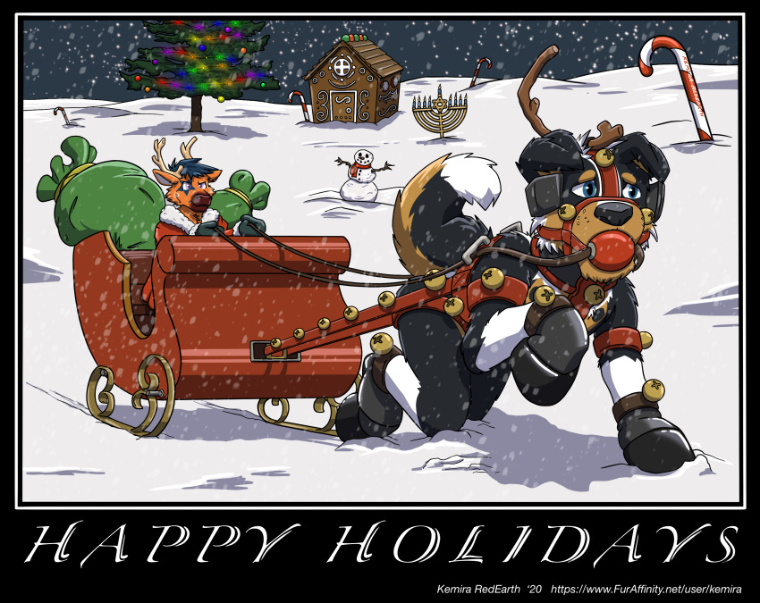 absurd_res anthro ball_gag blinders boots border_collie candy candy_cane canid canine canis capreoline cervid christmas christmas_clothing christmas_lights christmas_tree clothing collie costume dessert domestic_dog duo english_text eyewear food footwear gag gift gingerbread_house hanukkah hanyki harness herding_dog hi_res holidays hoof_boots how_the_grinch_stole_christmas! kemira male male/male mammal pastoral_dog plant reindeer santa_costume santa_suit saturdaii_(fauxcroft) sheepdog sled text tree url