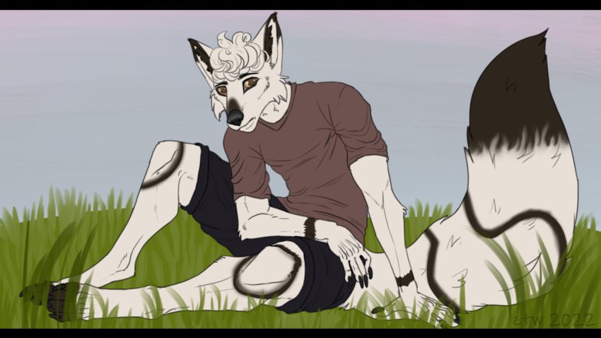 16:9 anthro black_bars canid canine full-length_portrait grass letterbox male mammal plant portrait sketch solo widescreen zhekathewolf ztw2022