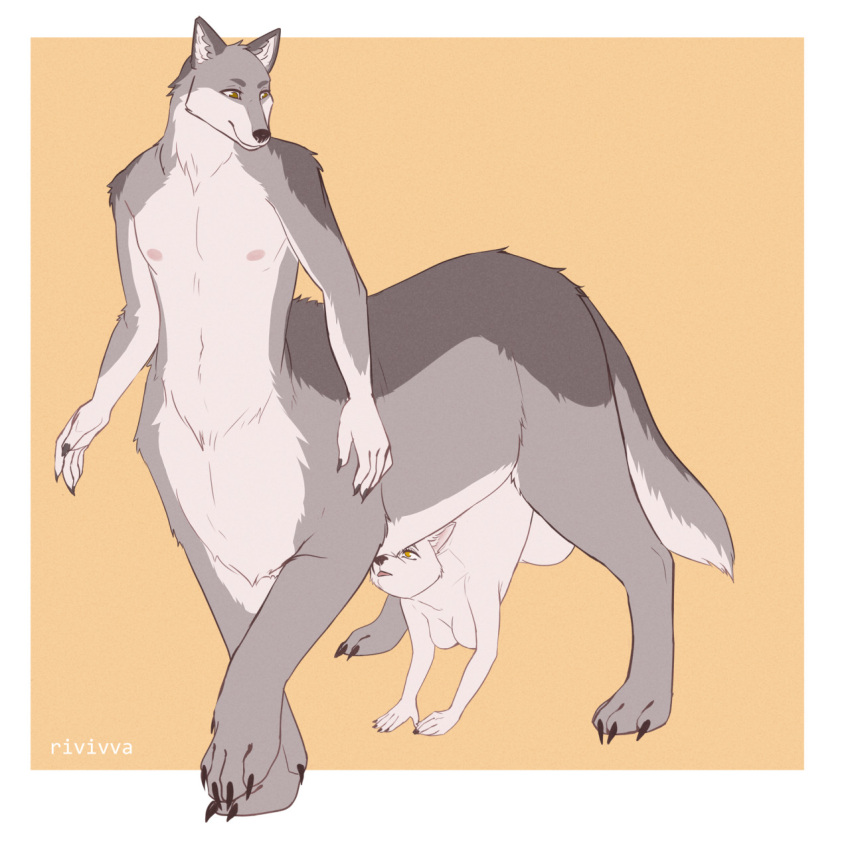 1:1 2022 5_fingers balls breasts canid canid_taur canine canine_taur canis claws cock_transformation digital_drawing_(artwork) digital_media_(artwork) digitigrade eyebrows female finger_claws fingers fur genitals grey_body grey_fur hi_res male mammal mammal_taur multicolored_body multicolored_fur nipples quadruped rivivva sentient_penis taur thatoneweirdo transformation unusual_anatomy unusual_genitalia white_body white_fur wolf wolf_taur yellow_eyes