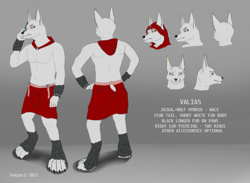 anthro bottomwear canid canine canine_hybrid canis clothing fur hi_res hood hybrid jackal loincloth male mammal model_sheet piercing red_clothing short_tail snepard solo standing white_body white_fur wolf