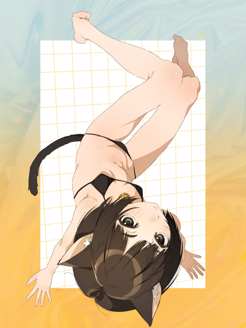 1girl absurdres amagami animal_ears barefoot bikini black_bikini blush breasts breasts_apart brown_hair cat_ears cat_tail gloomyus groin highres looking_at_viewer navel short_hair small_breasts solo swimsuit tachibana_miya tail upside-down