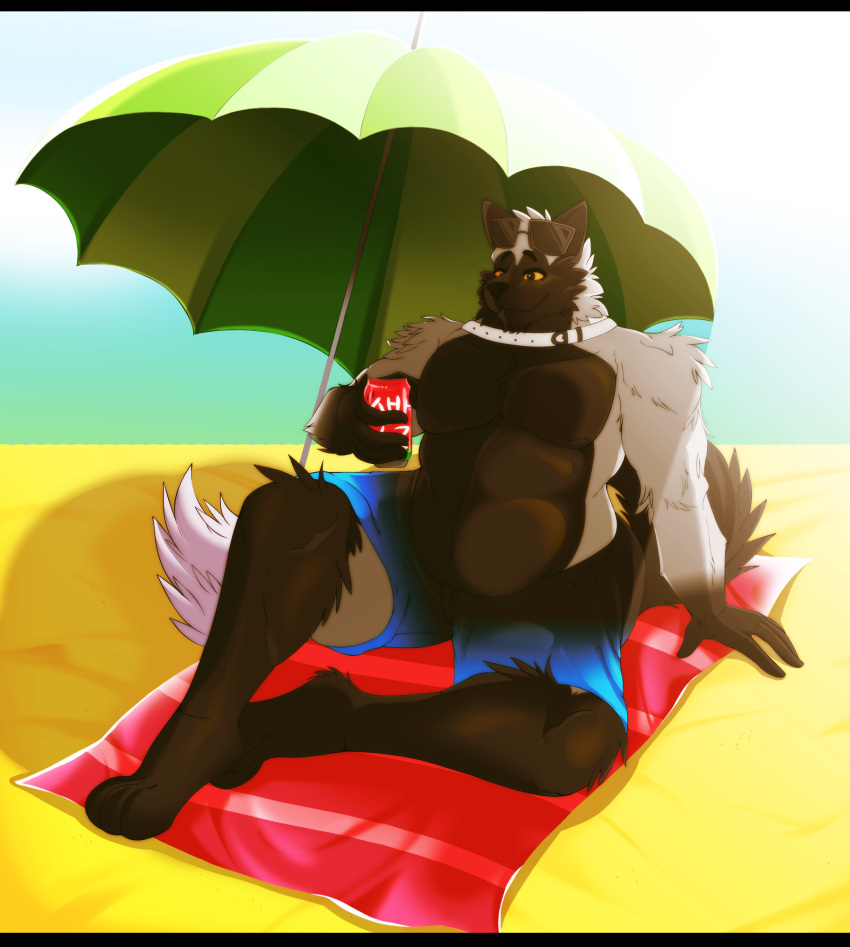 4_toes 5_fingers anthro barefoot beach beach_umbrella belly beverage beverage_can black_belly black_body black_chest black_ears black_face black_fur black_hands black_legs black_nose black_tail blue_bottomwear blue_clothing blue_pants blue_shorts bottomwear canid canine canis clothed clothing collar colored container digital_media_(artwork) eyewear eyewear_on_head feet fingers fluffy fluffy_tail fox fur grey_arms grey_body grey_fur hi_res holding_object humanoid_hands light long_tail male mammal multicolored_body multicolored_face multicolored_fur multicolored_tail muscular muscular_male myrisdraws orange_eyes outside overweight overweight_male pants paws pecs red_fox rygel_misra sand sea seaside shorts shoulder_tuft silver_fox_(species) sky smile solo sunglasses sunglasses_on_head sunlight swimming_trunks swimwear toes towel tuft two_tone_body two_tone_face umbrella water white_tipped_tail