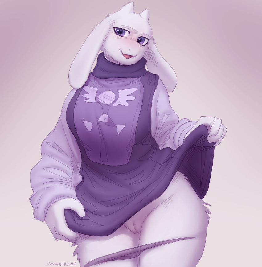 2022 absurd_res anthro boss_monster bovid caprine clothed clothing clothing_lift dress dress_lift female front_view fur genitals hi_res horn long_ears looking_at_viewer mammal maxmushroom panties panties_down partially_clothed portrait purple_eyes pussy simple_background solo standing three-quarter_portrait toriel undertale undertale_(series) underwear underwear_down video_games white_background white_body white_fur