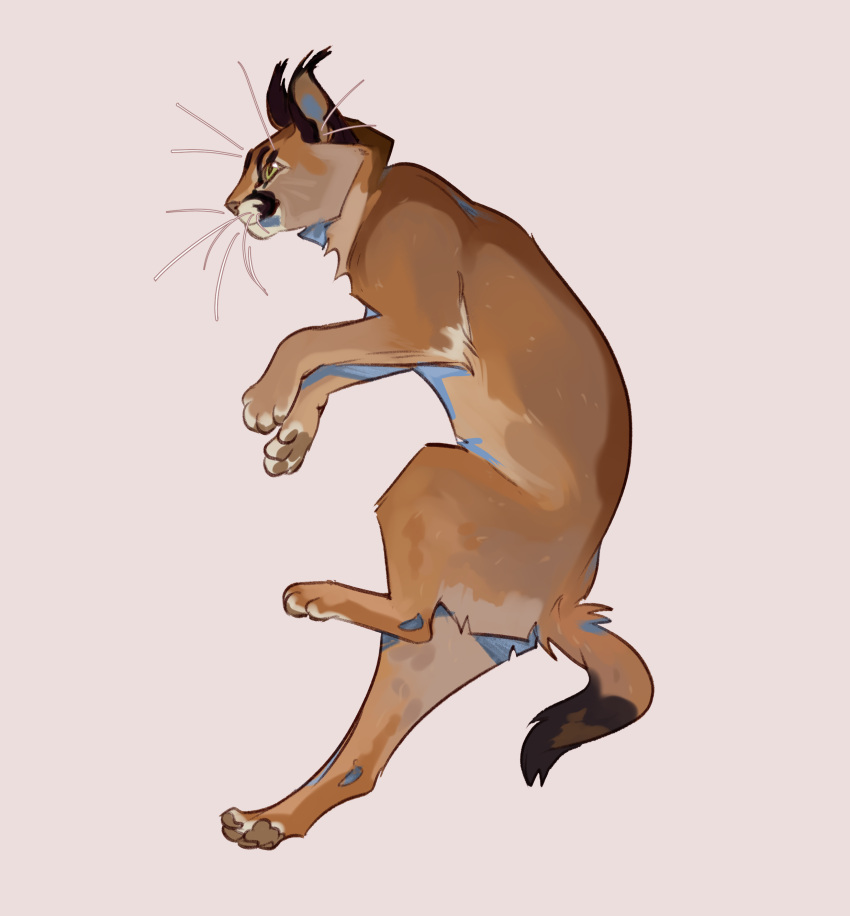 absurd_res ambiguous_gender blackscour brown_body brown_fur caracal caracal_(genus) ear_tuft felid feline feral full-length_portrait fur glistening glistening_eyes green_eyes hi_res mammal mouth_closed neck_tuft portrait side_view simple_background solo tuft unsigned whiskers