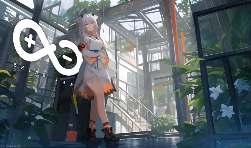 1girl arknights armband artist_name black_footwear bright_pupils calvinlex049 day dress full_body grey_hair highres long_sleeves looking_at_viewer orange_socks owl_ears plant ptilopsis_(arknights) rhine_lab_logo scenery socks solo stairs standing white_dress white_pupils yellow_eyes