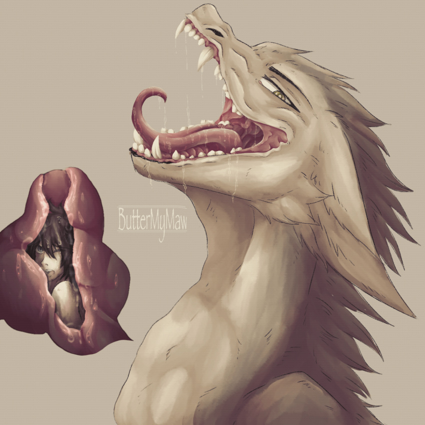 animated animated_vore bodily_fluids butter_the_dragon buttermymaw digital_media_(artwork) dragon drooling duo female female_pred feral fur furred_dragon hair hi_res human human_prey humanoid internal internal_oral male mammal nude open_mouth oral_vore saliva size_difference smaller_human soft_vore tongue tongue_out vore wingless_dragon
