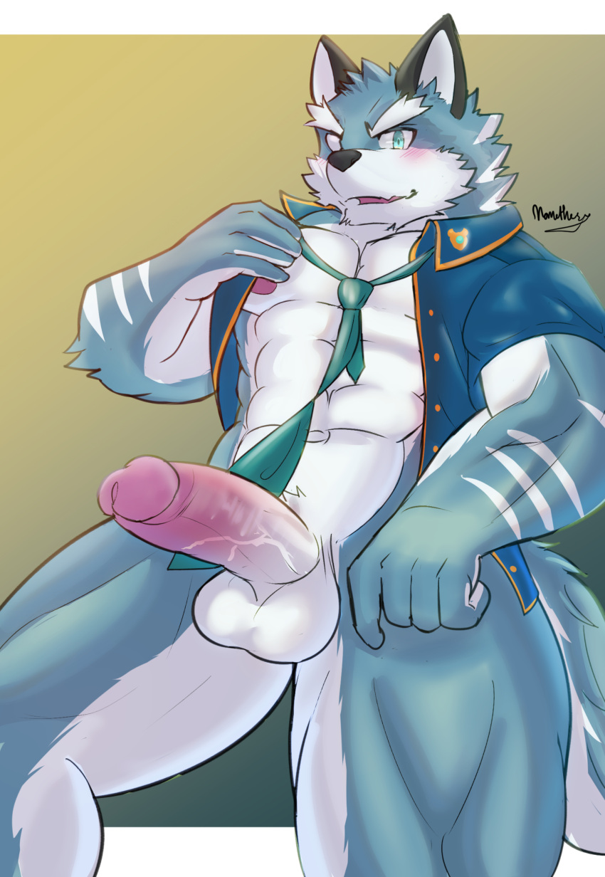 abs absurd_res anthro argo_(knights_college) balls barazoku black_nose blue_body blue_fur blush bodily_fluids canid canine canis clothed clothing digital_media_(artwork) erection fur genitals hi_res knights_college male mammal manothesea muscular muscular_anthro muscular_male partially_clothed pecs penis simple_background solo video_games visual_novel white_body white_fur wolf