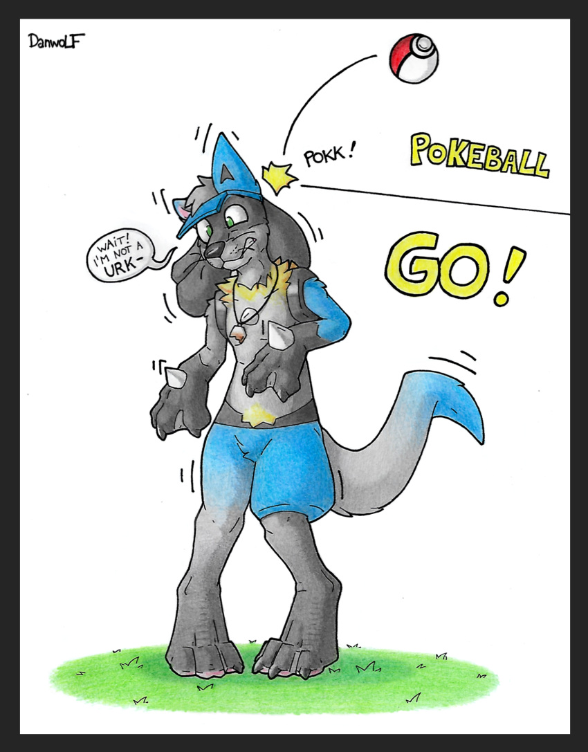 anthro aura canid canine canis danwolf15 domestic_dog generation_4_pokemon hi_res lucario lutrine male mammal mustelid nintendo pokeball pokemon pokemon_(species) solo transform_(pokemon) transformation video_games