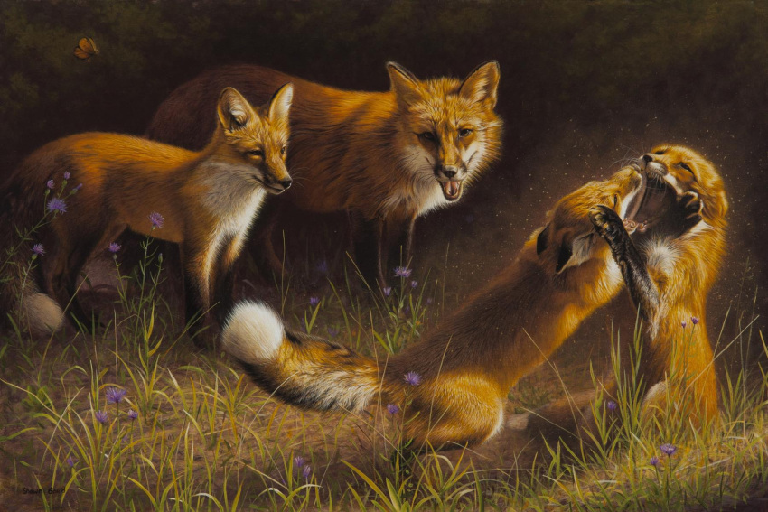 acrylic_painting_(artwork) ambient_arthropod ambient_butterfly ambient_insect arthropod black_body black_fur black_lips black_nose butterfly canid canine countershade_torso countershading day detailed_background dipstick_ears dipstick_tail female feral fight flower fluffy fluffy_tail fox fur fur_markings grass group hi_res insect leg_markings lepidopteran lips male mammal markings multicolored_ears nature nature_background orange_body orange_eyes orange_fur outside painting_(artwork) photorealism plant realistic_feral realistic_fur red_fox shawn_gould spring standing tail_markings traditional_media_(artwork) two_tone_tail whiskers white_body white_fur
