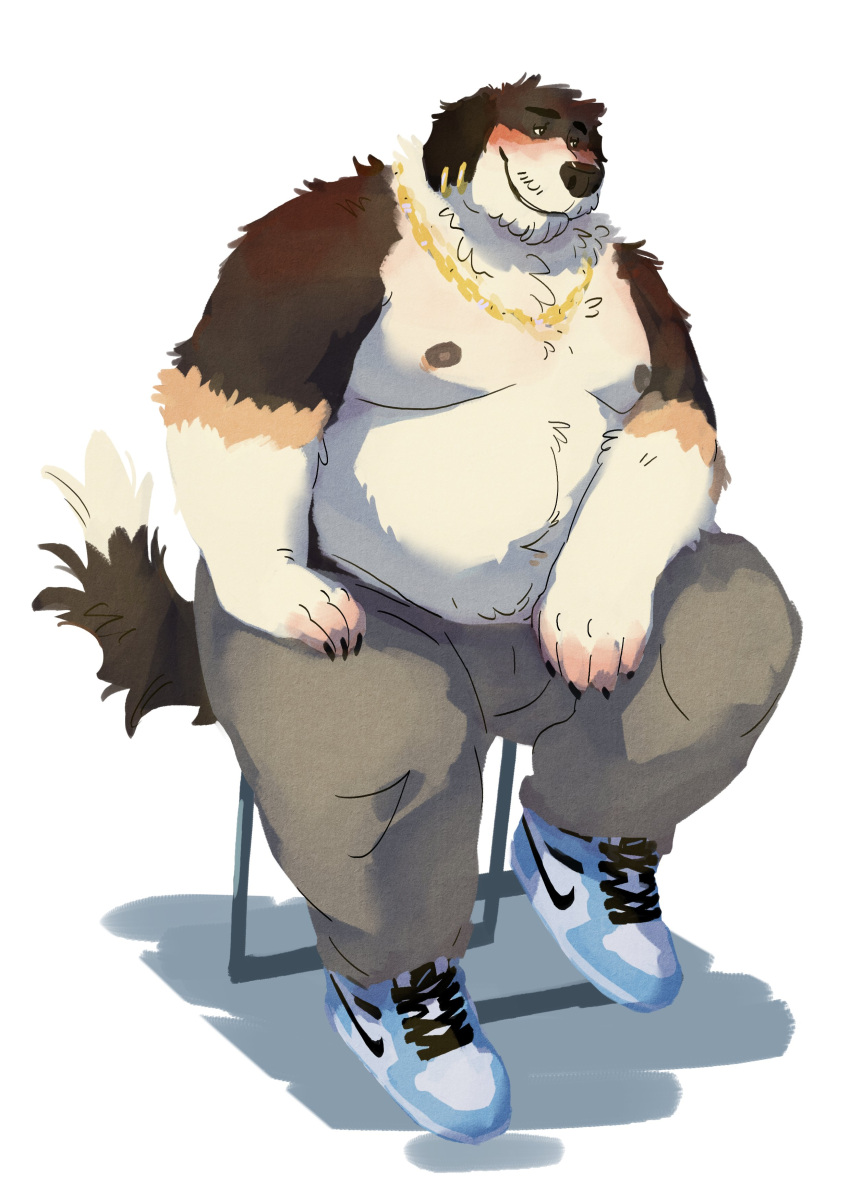 absurd_res anthro belly black_body black_fur blush brown_body brown_fur canid canine canis chain_necklace chuchowriggle_(artist) claws clothed clothing domestic_dog ear_piercing footwear fur hand_on_knee hand_on_leg hi_res jewelry male mammal mountain_dog multiple_piercings navel necklace nipples overweight overweight_anthro overweight_male piercing shoes simple_background sitting smile sneakers solo topless white_background white_body white_fur