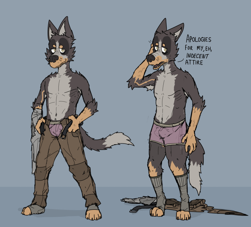 anthro armpit_hair awkward belt body_hair bottomwear briefs bulge canid canine canis clothes_off clothing domestic_dog footwear hi_res male mammal muscular_thighs pants pose ricthecusco shirt shy skinny smile smirk socks solo solo_focus topwear underwear undressing