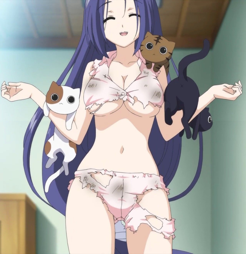 blue_hair cat cats highres mayoi_neko_overrun! torn_clothes torn_clothing tsuzuki_otome