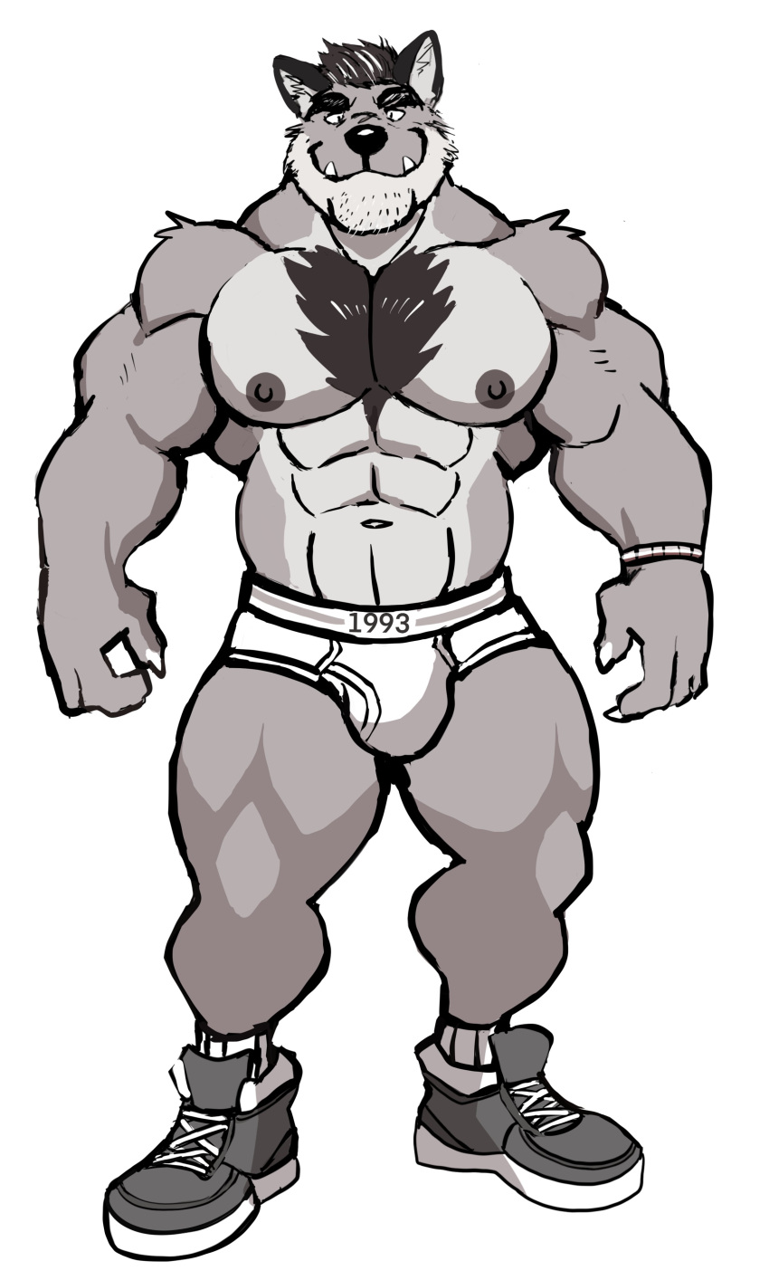 2022 abs absurd_res anthro barazoku biceps big_bulge big_muscles big_pecs body_hair bracelet briefs bulge canid canine canis chest_hair claws clothed clothing darknaigart domestic_dog eyebrows facial_hair footwear front_view fur hair hi_res huge_muscles jewelry looking_at_viewer male mammal mature_anthro mature_male muscular muscular_anthro muscular_male navel nipples number obliques pecs plantigrade shoes simple_background smile socks solo standing stubble teeth thick_thighs tighty_whities topless topless_anthro topless_male tuft underwear white_background white_briefs white_clothing white_underwear
