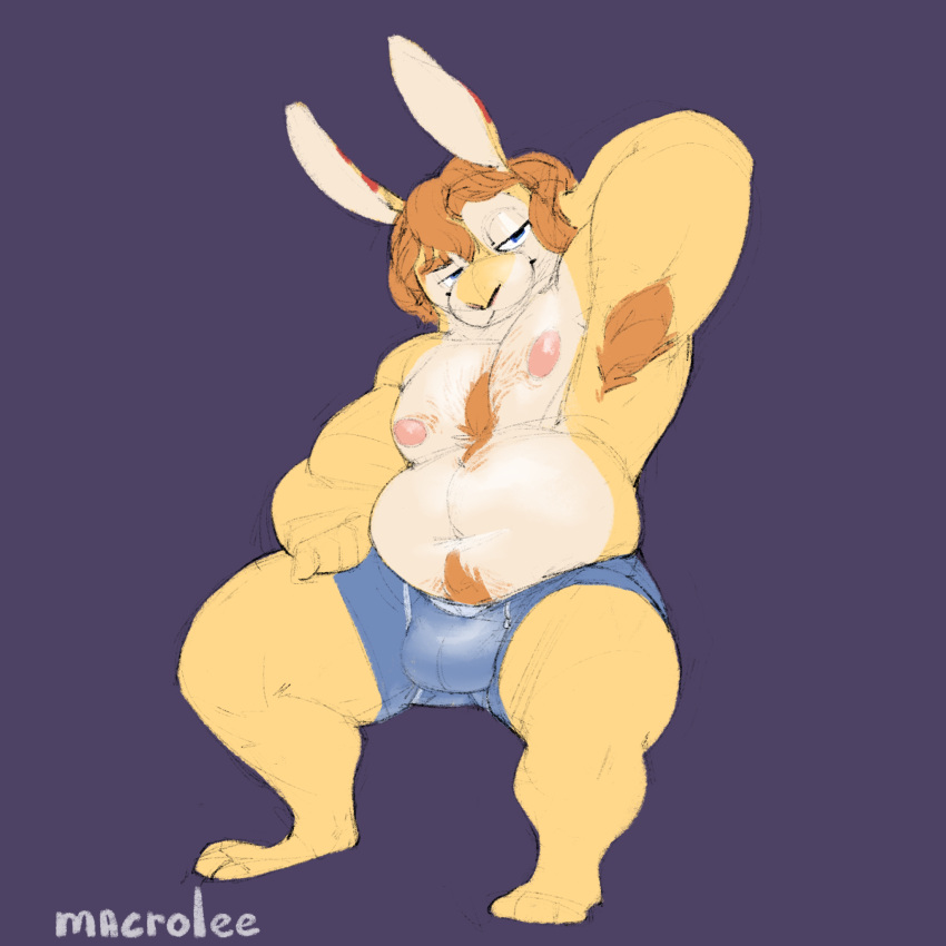 anthro belly big_belly body_hair bulge chest_hair chubby_male clothing fax_(faxmedarling) fur hair hi_res lagomorph leporid macrolee male mammal nipples overweight overweight_male pubic_trail rabbit solo underwear yellow