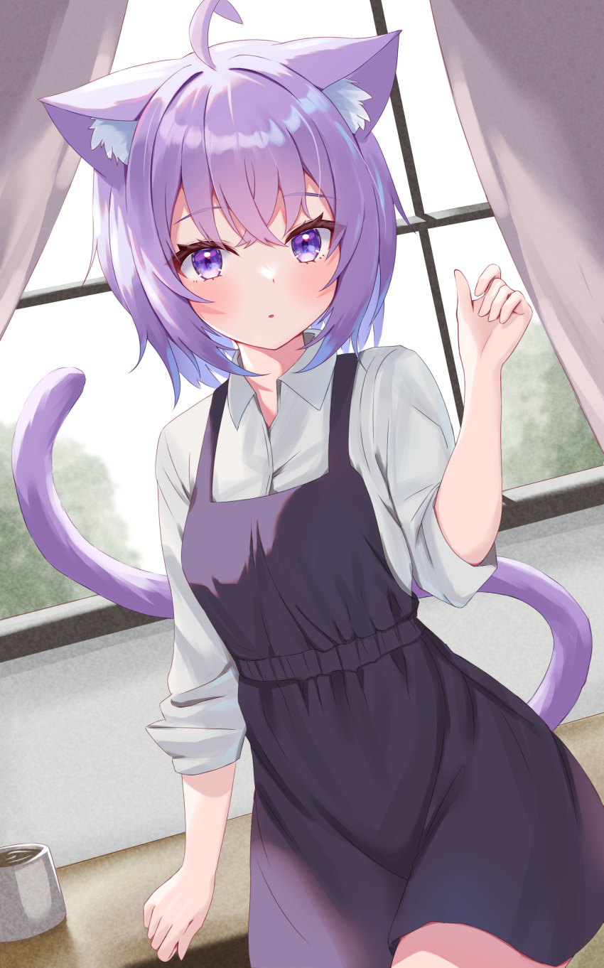 1girl absurdres ahoge alternate_costume animal_ear_fluff animal_ears bangs black_dress blush cat_ears cat_girl cat_tail crossed_bangs dress hair_between_eyes highres hololive indoors long_sleeves looking_at_viewer nekomata_okayu parted_lips pinafore_dress purple_eyes purple_hair shirt short_dress short_hair sleeves_rolled_up solo tail thorny virtual_youtuber white_shirt wide_hips window