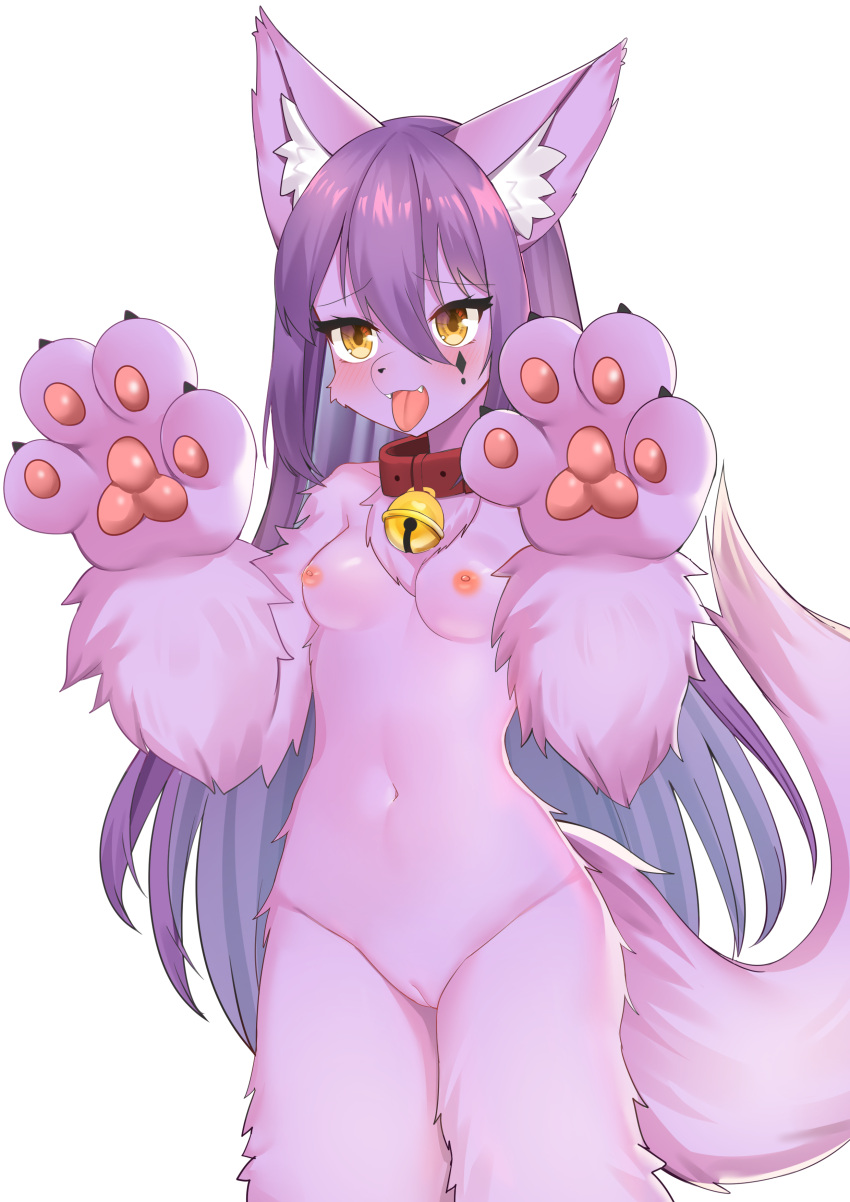 2020 absurd_res after_transformation anthro bell bell_collar blush canid collar collar_only corin digital_media_(artwork) female fur genitals hair handpaw hi_res mammal navel nipples nude open_mouth pawpads paws purple_body purple_fur purple_hair pussy shaded simple_background solo tongue tongue_out white_background