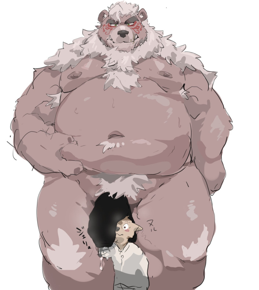 2022 anthro balls belly big_belly canid canine censored clothing duo genitals hi_res iwbsb_kuma kemono kimun_kamui_(tas) lifewonders male mammal moobs navel nipples overweight overweight_male penis shirt simple_background size_difference tokyo_afterschool_summoners topwear ursid video_games