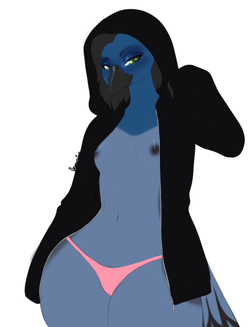 anthro avian beak bird black_hair black_nipples blue_body blue_feathers blue_jay breasts clothed clothing corvid feathers female green_eyes hair hi_res hoodie jay_(bird) mostly_nude new_world_jay nipples open_clothing open_hoodie open_topwear oscine panties passerine reina. simple_background small_breasts solo standing steller's_jay tail_feathers thick_thighs topless topwear underwear white_background wide_hips