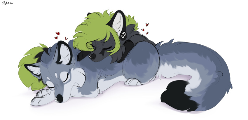 &lt;3 2022 a.o.kigahara black_body black_fur black_nose blush canid canine canis chibi colored digital_drawing_(artwork) digital_media_(artwork) digital_painting_(artwork) duo embrace eyes_closed female feral fluffy fluffy_tail fox fur green_hair grey_body grey_fur hair hi_res hug love male male/female mammal signature simple_background sketch sleeping smile taka_(artist) white_background white_body white_fur wolf