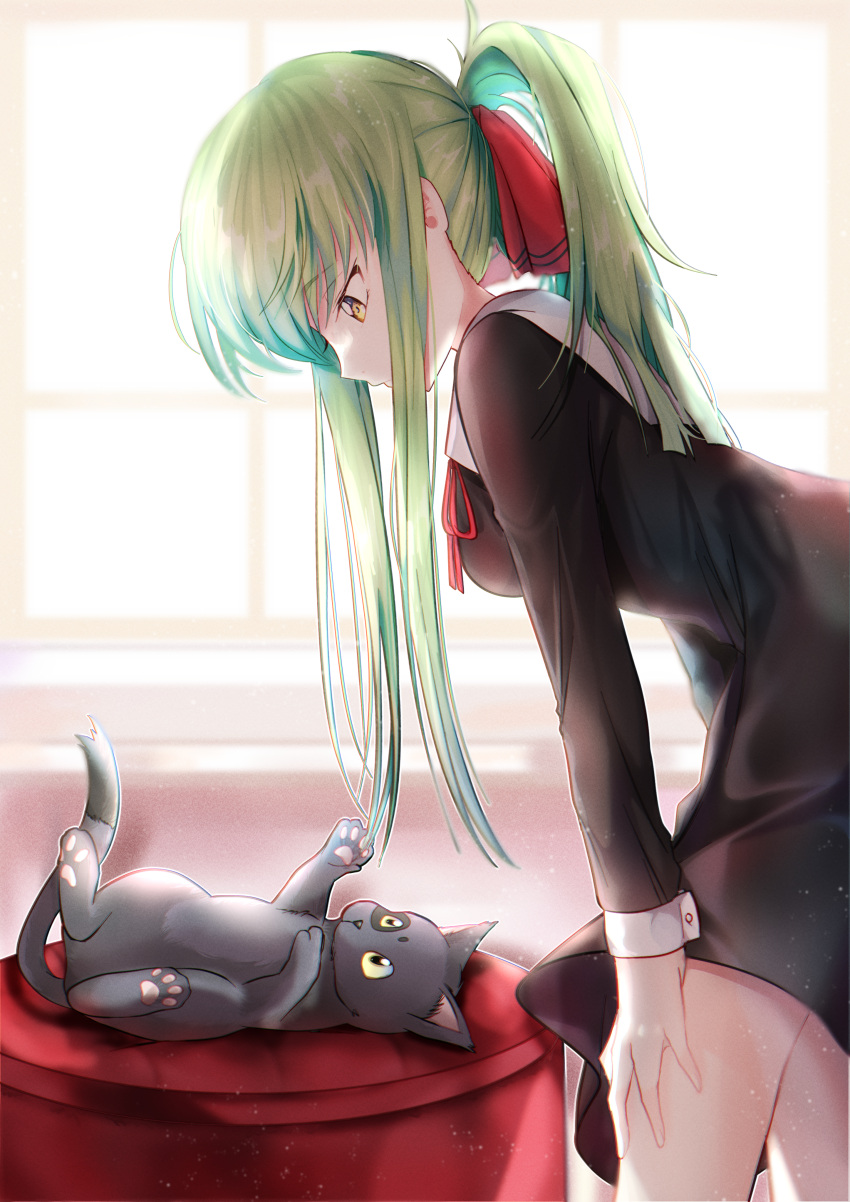 1girl absurdres bangs black_cat black_dress bow budgiepon c.c. cat closed_mouth code_geass collar cosplay dress green_hair hair_bow highres kaguya-sama_wa_kokurasetai_~tensai-tachi_no_renai_zunousen~ long_hair neck_ribbon ponytail red_bow red_ribbon ribbon school_uniform shinomiya_kaguya shinomiya_kaguya_(cosplay) shuuchiin_academy_school_uniform solo white_collar yellow_eyes