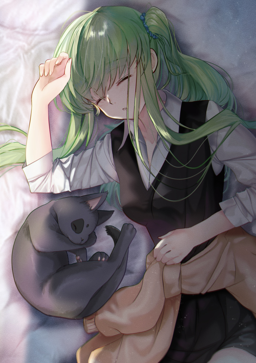 1girl absurdres black_cat black_dress blue_ribbon braid budgiepon c.c. cat closed_eyes code_geass cosplay dress green_hair hair_ribbon hayasaka_ai hayasaka_ai_(cosplay) highres kaguya-sama_wa_kokurasetai_~tensai-tachi_no_renai_zunousen~ long_hair long_sleeves lying parted_lips ribbon shirt solo white_shirt