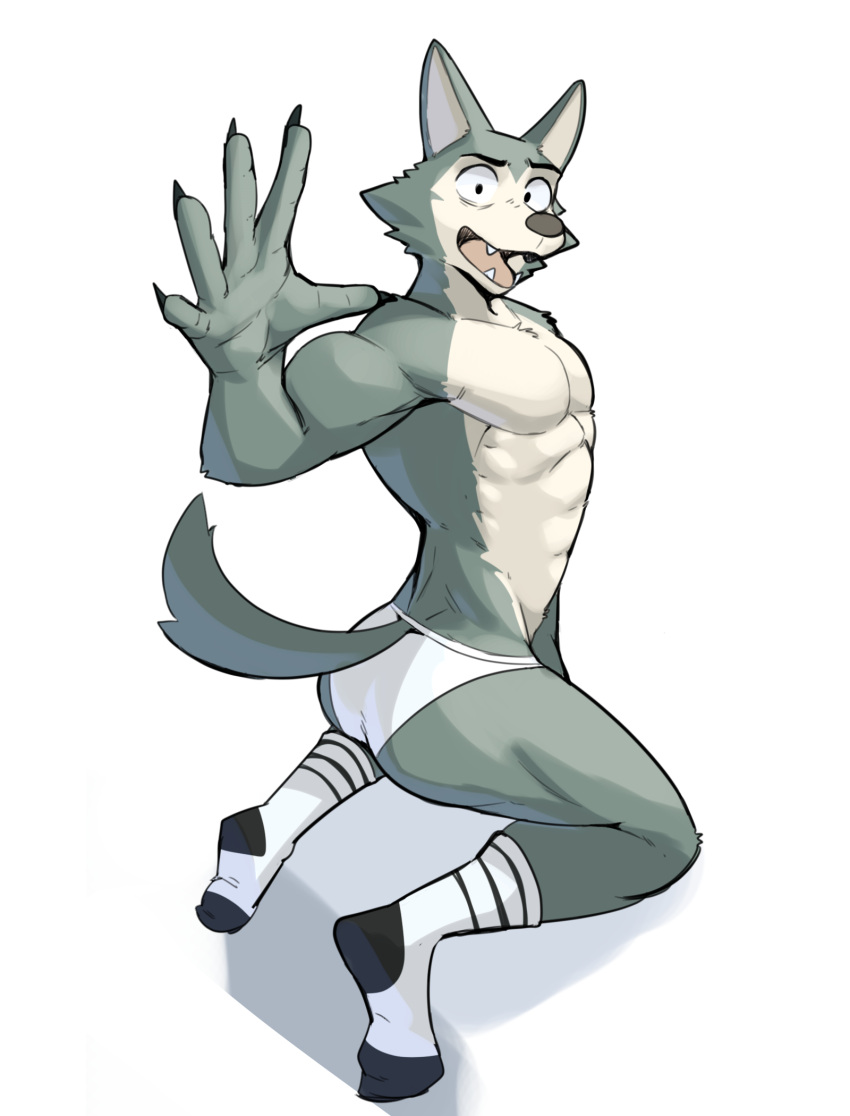 5_fingers anthro beastars butt canid canine canis clothing fingers footwear fur grey_body grey_fur hi_res jrjresq legoshi_(beastars) looking_at_viewer male mammal muscular muscular_anthro muscular_male simple_background socks solo tan_body tan_fur underwear wolf