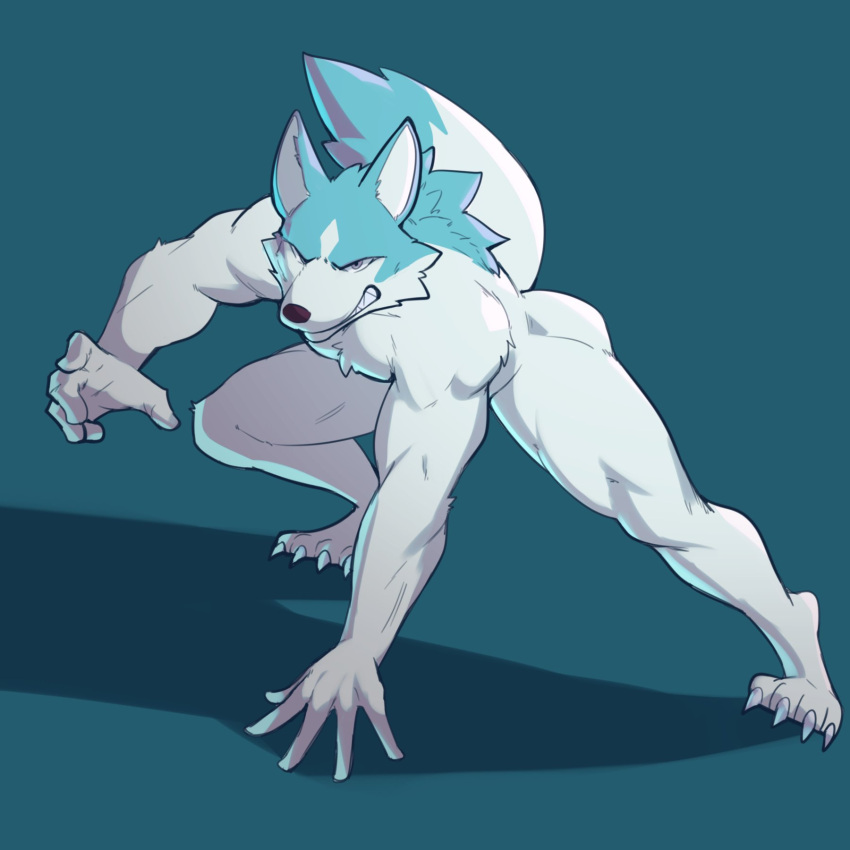 2022 4_toes 5_fingers anthro blue_body blue_fur brand_new_animal canid canine canis claws clenched_teeth feet fingers fur hi_res jrjresq male mammal muscular muscular_anthro muscular_male nude shirou_ogami simple_background solo studio_trigger teeth toes white_body white_fur wolf